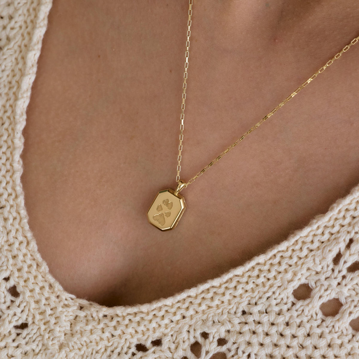 Pet Print Hexagon Locket Necklace — photo 1